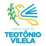 FUNDO ASSISTENCIA SOCIAL MUNICIPIO DE TEOTONIO VILELA
