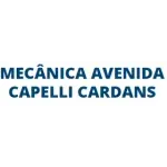 Ícone da CAPELLI CARDANS E MECANICA LTDA