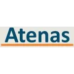 Ícone da ATENAS GESTAO DE ATIVOS LTDA