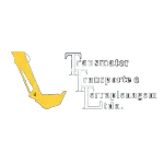 Ícone da TRANSMATER TRANSPORTE E TERRAPLENAGEM LTDA