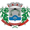 Ícone da CAMARA MUNICIPAL DE VEREADORES DE DOM FELICIANO