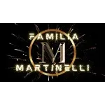 FAMILIA MARTINELLI ADMINISTRACAO DE BENS LTDA