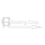 Ícone da G G TRADING E LOCACAO VEICULAR LTDA