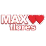 Ícone da MAX FLORES LTDA