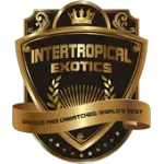 INTERTROPICAL EXOTICS