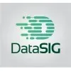 Ícone da DATASIG SOLUCOES EM INFORMATICA LTDA