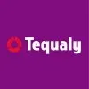 TEQUALY TECNICA INDUSTRIAL LTDA