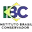 INSTITUTO BRASIL CONSERVADOR  IBC