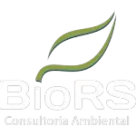 Ícone da BIORS CONSULTORIA AMBIENTAL LTDA