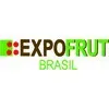 Ícone da EXPOFRUT BRASIL IMPORTADORA E EXPORTADORA LTDA