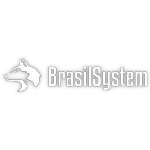 Ícone da BRASIL SYSTEM SOLUCOES EM TECNOLOGIA LTDA