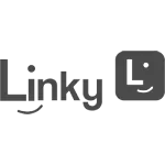 LINKY GESTAO DE PESSOAS E PROCESSOS LTDA