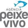 AGENCIA PEIXE VIVO