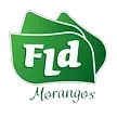 Ícone da FLD AGROINDUSTRIA LTDA