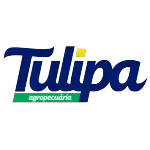 TULIPA