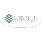 Ícone da SOBRINE ANALISE AMBIENTAL LTDA