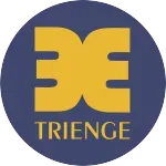 Ícone da TRIENGE  TRES RIOS ENGENHARIA LTDA