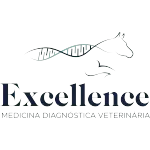 Ícone da EXCELLENCE MEDICINA DIAGNOSTICA VETERINARIA LTDA