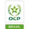 Ícone da OCP FERTILIZANTES LTDA