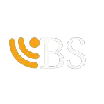 BS SERVICES