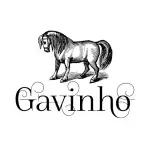 GAVINHO