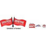 SINTESI