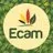 ECAM