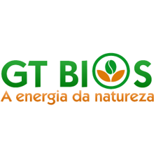 Logotipo da empresa GT BIOS