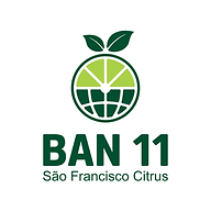 Logotipo da empresa SAO FRANCISCO CITRUS