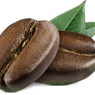 Logotipo da empresa COMERCIAL SILVA LIMA