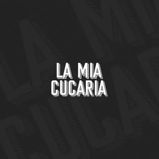 Logotipo da empresa AUTO POSTO MONDARDO LTDA