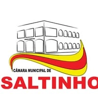 Logotipo da empresa CAMARA DE SALTINHO