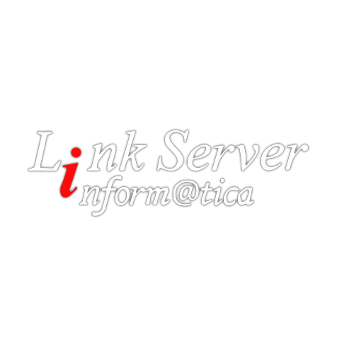 Logo de LINK SERVER INFORMATICA