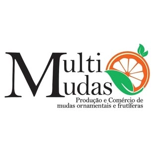 Logotipo da empresa MULTI MUDAS LTDA