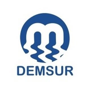 Logotipo da empresa DEMSUR