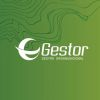 Logotipo da empresa GESTOR - GESTAO ORGANIZACIONAL S/S LTDA.