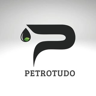 Logotipo da empresa PETROTUDO