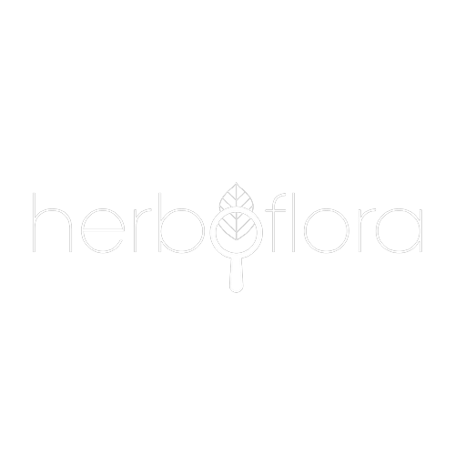 Logotipo da empresa HERBOFLORA PRODUTOS NATURAIS LTDA