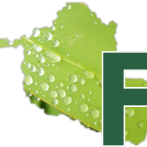 Logotipo da empresa FOLHA DO INTERIOR DE RONDONIA LTDA