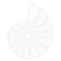 Logotipo da empresa NORIO SUGUIMOTO