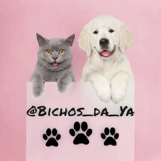 Logotipo da empresa CIA. DOS BICHOS