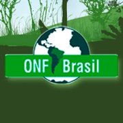 Logotipo da empresa O.N.F. BRASIL - GESTAO FLORESTAL LTDA