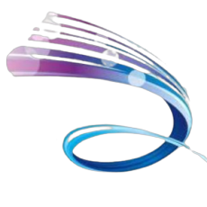 Logotipo da empresa SILVIU'S & CIA