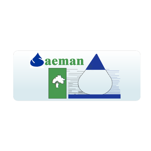 Logotipo da empresa SAEMAN