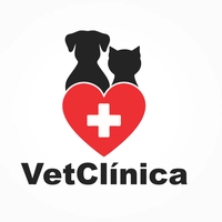 Logotipo da empresa FISIOCLINICA