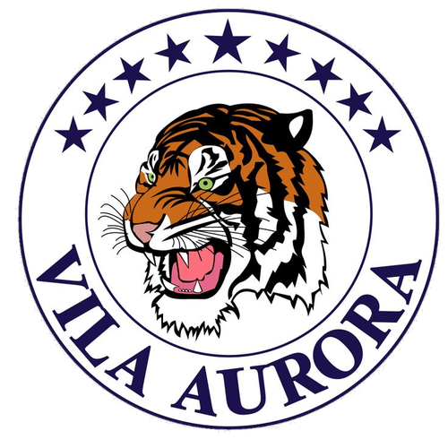 Logotipo da empresa TIGRAO DA VILA