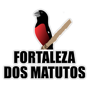Logotipo da empresa NEWTOK JEANS