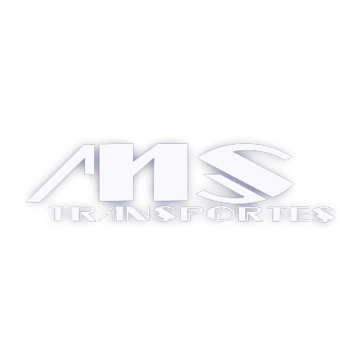 Logotipo da empresa MS TRANSPORTES