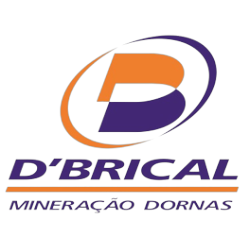 Logotipo da empresa D'BRICAL