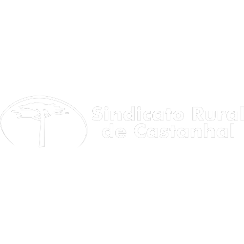 Logotipo da empresa SINDICATO RURAL DE CASTANHAL